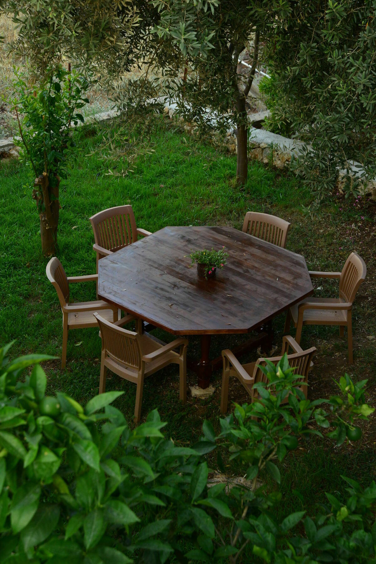 Golden Lighthouse Hotel Patara Extérieur photo